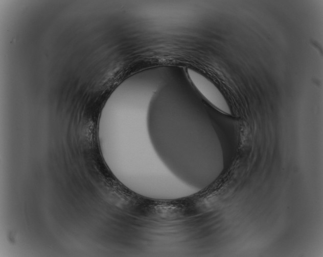 X0000091910650200709191321