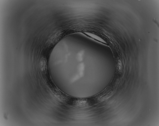 X0000091910651200709191321