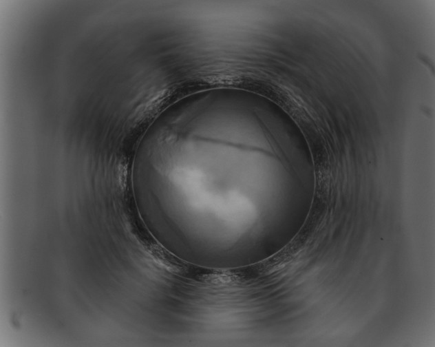 X0000091910652200709191321