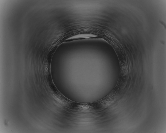 X0000091910654200709191321