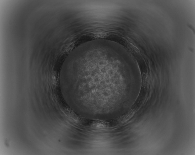 X0000091910655200709191321