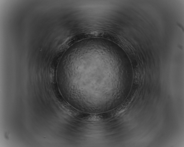 X0000091910656200709191321