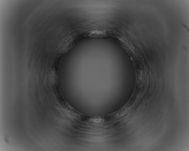 X0000091910659200709191321