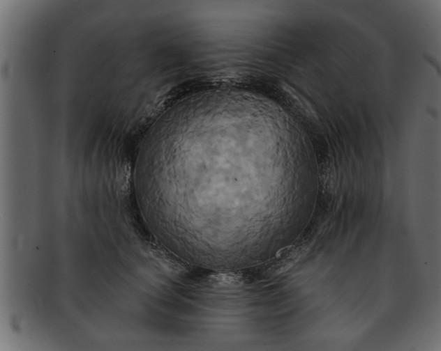 X0000091910660200709191321