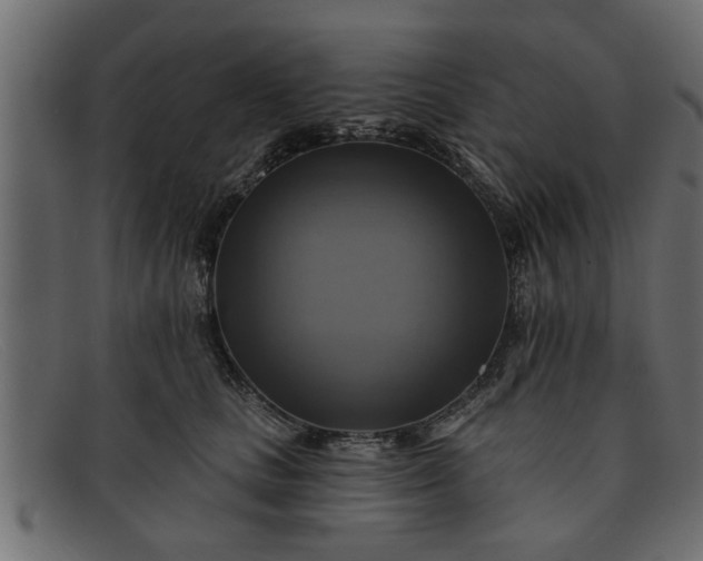 X0000091910661200709191321