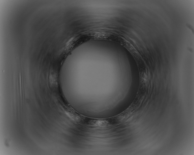 X0000091910663200709191321