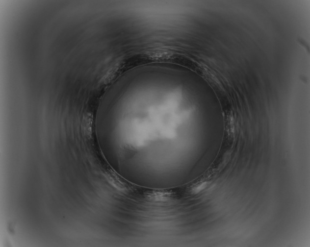 X0000091910664200709191321