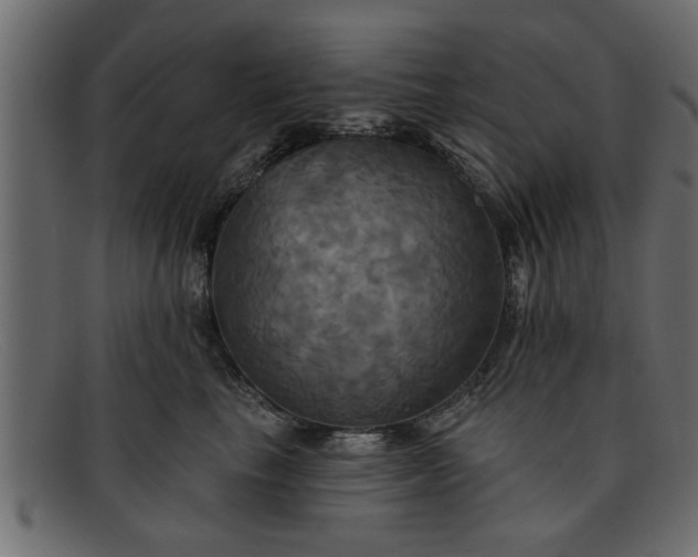 X0000091910665200709191321