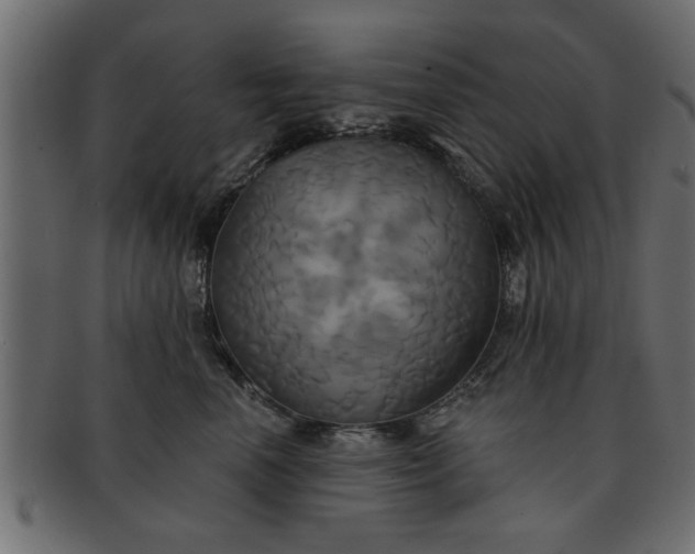 X0000091910666200709191321