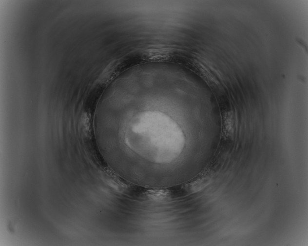 X0000091910667200709191321