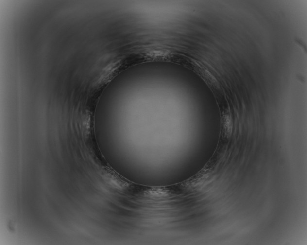 X0000091910668200709191321