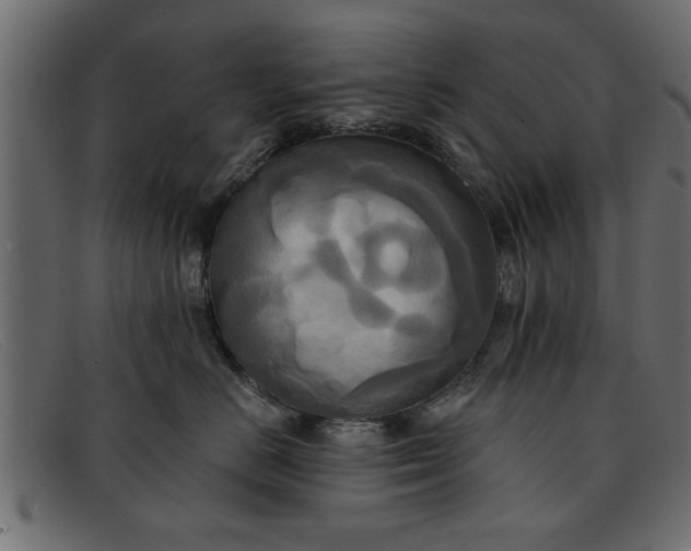 X0000091910670200709191321