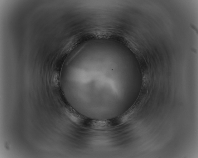 X0000091910671200709191321