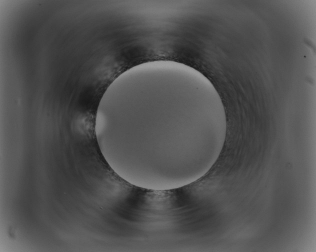 X0000091910672200709191321