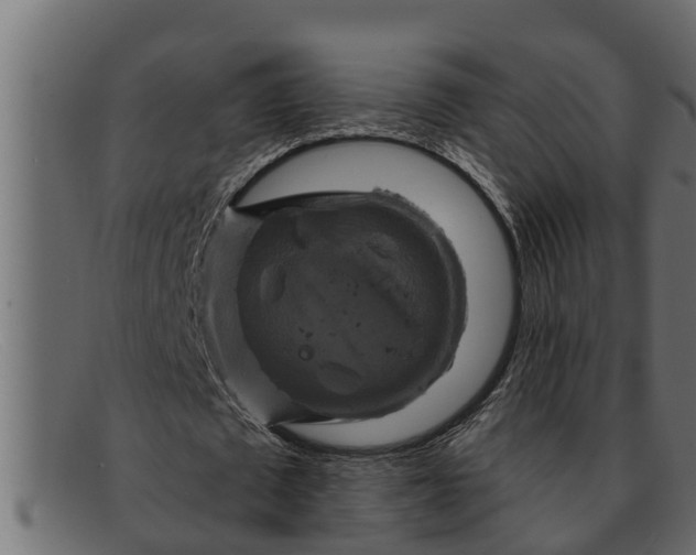 X0000091910673200709191320