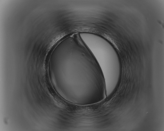 X0000091910674200709191320