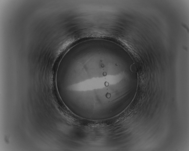 X0000091910679200709191320