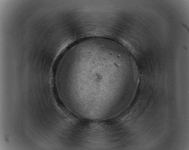 X0000091910680200709191320