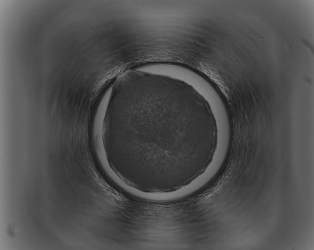 X0000091910681200709191320