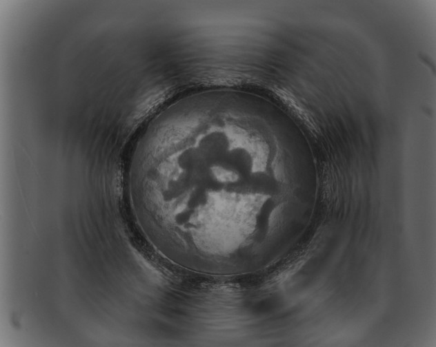 X0000091910683200709191320