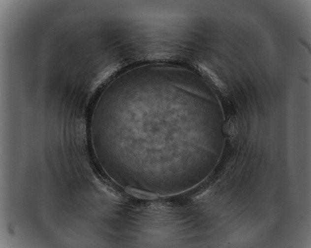 X0000091910684200709191320