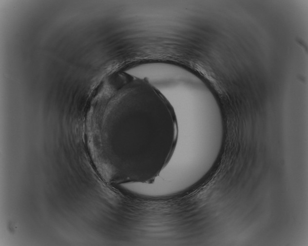 X0000091910685200709191320