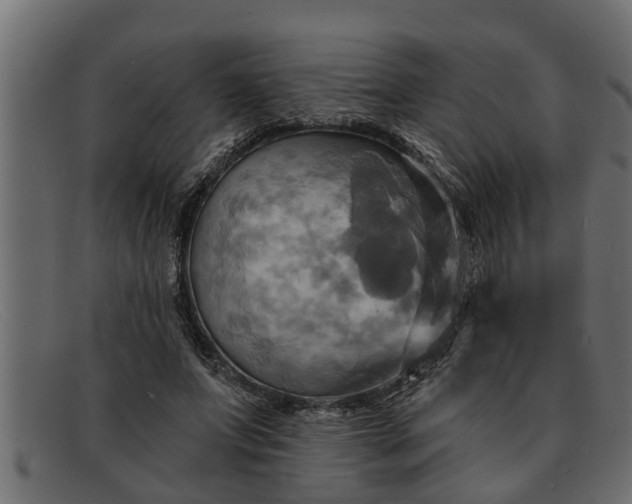 X0000091910687200709191320