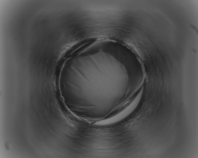 X0000091910688200709191320