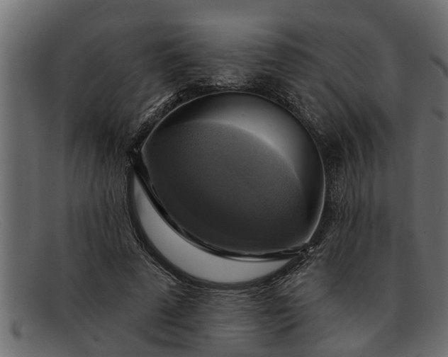 X0000091910689200709191320