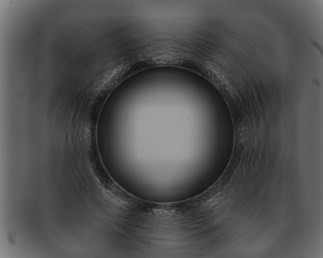 X0000091910690200709191320