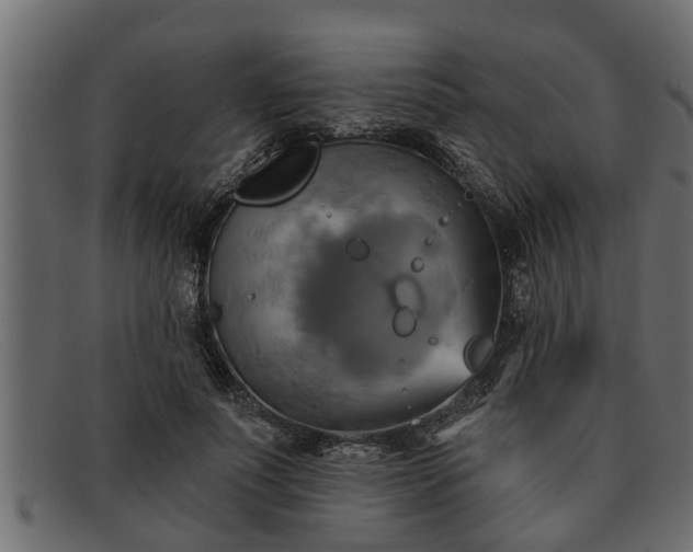 X0000091910691200709191320