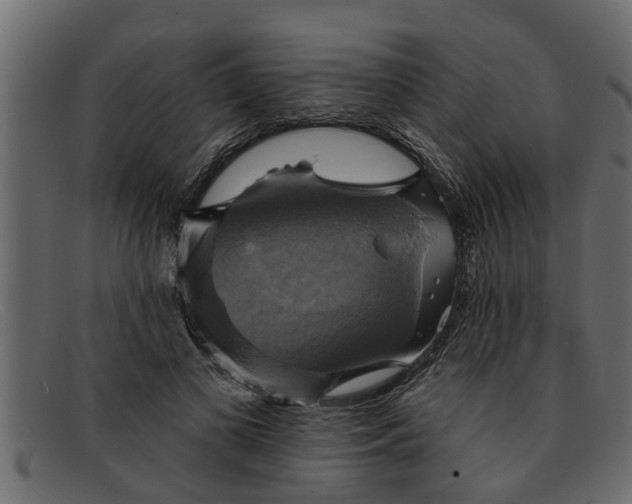 X0000091910693200709191320