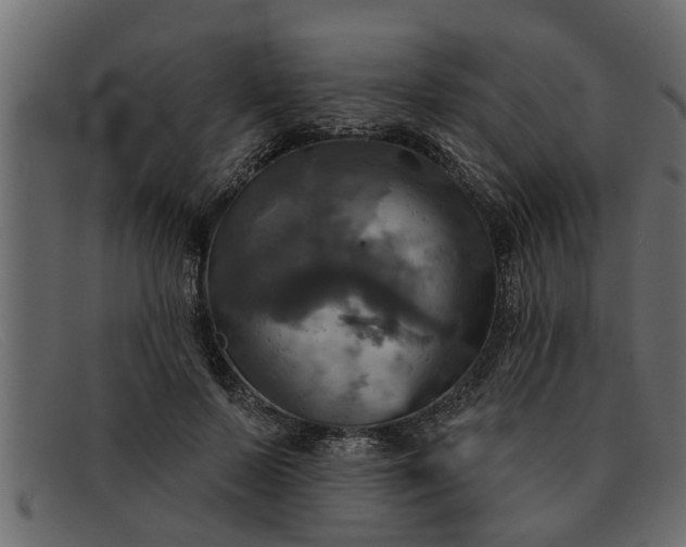 X0000091910695200709191320