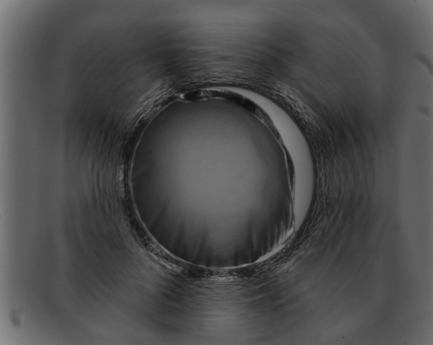 X0000091910696200709191320