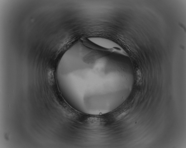 X0000091910699200709191320