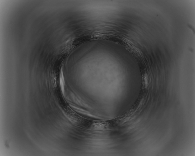 X0000091910703200709191320