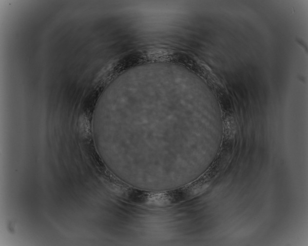 X0000091910705200709191320