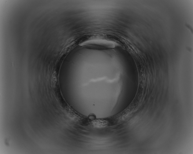 X0000091910707200709191320