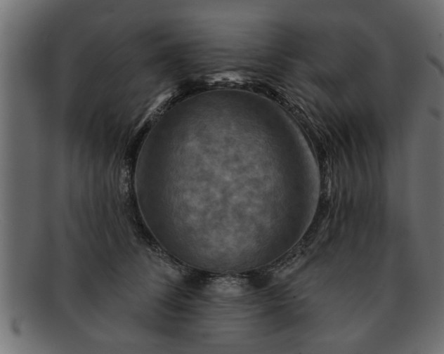 X0000091910708200709191320