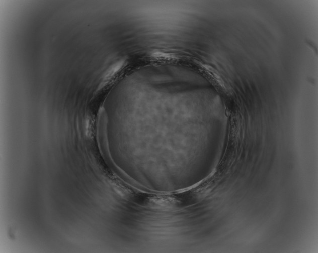 X0000091910712200709191320