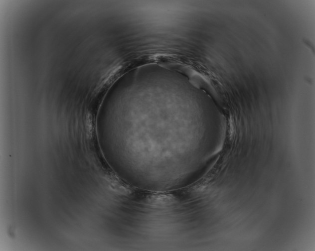 X0000091910716200709191320