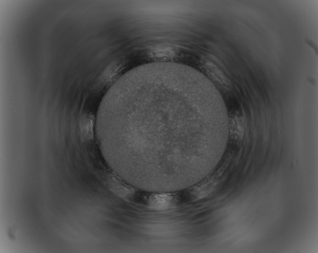 X0000091910717200709191320