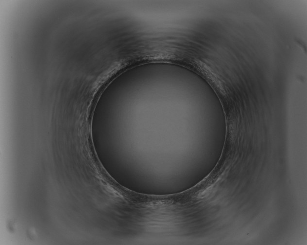 X0000091910721200709191319