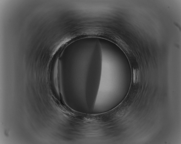 X0000091910723200709191319