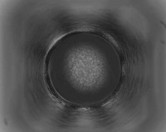 X0000091910724200709191319