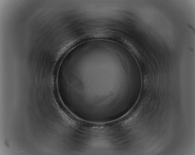 X0000091910725200709191319