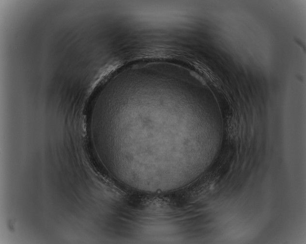 X0000091910731200709191319