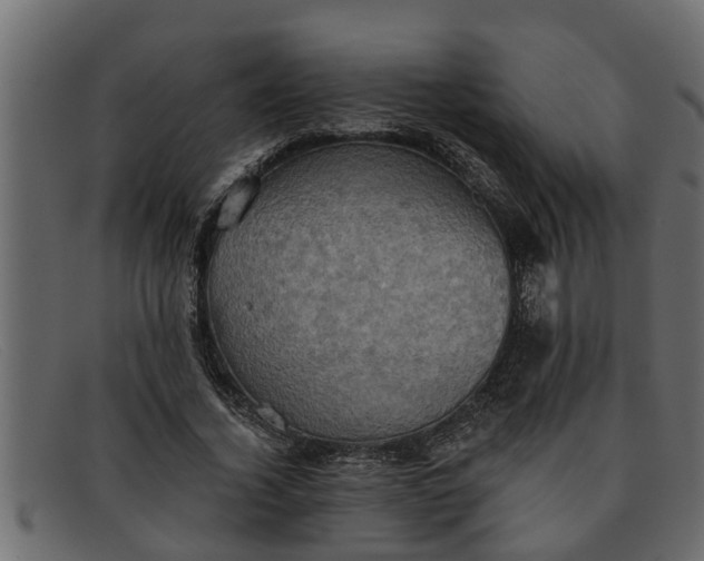 X0000091910732200709191319