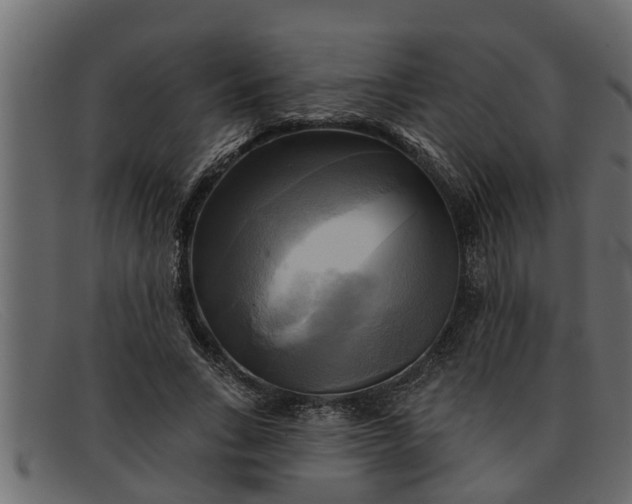 X0000091910735200709191319