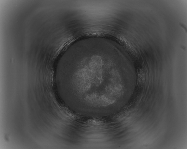 X0000091910739200709191319